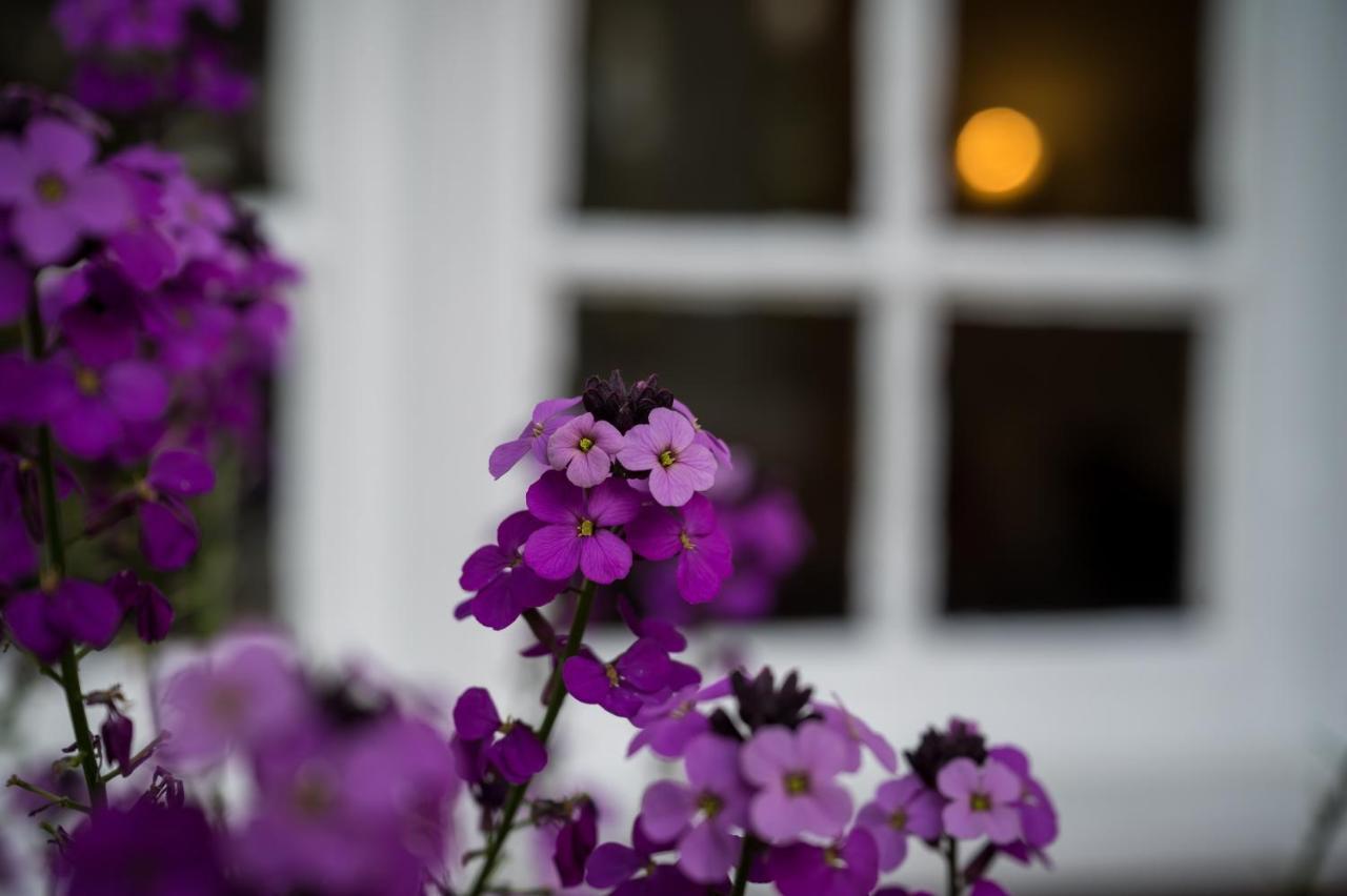 Findon Manor Hotel Buitenkant foto